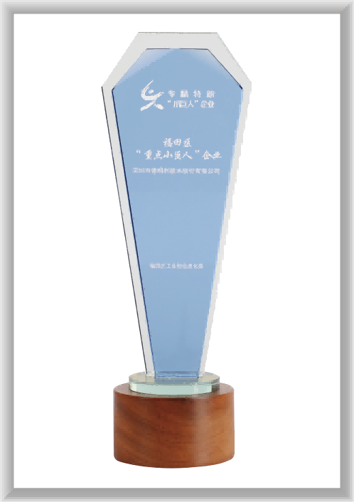 ÉîÛÚ¸£ÌïÇø¡°ÖصãС¾ÞÈË¡±ÆóÒµ